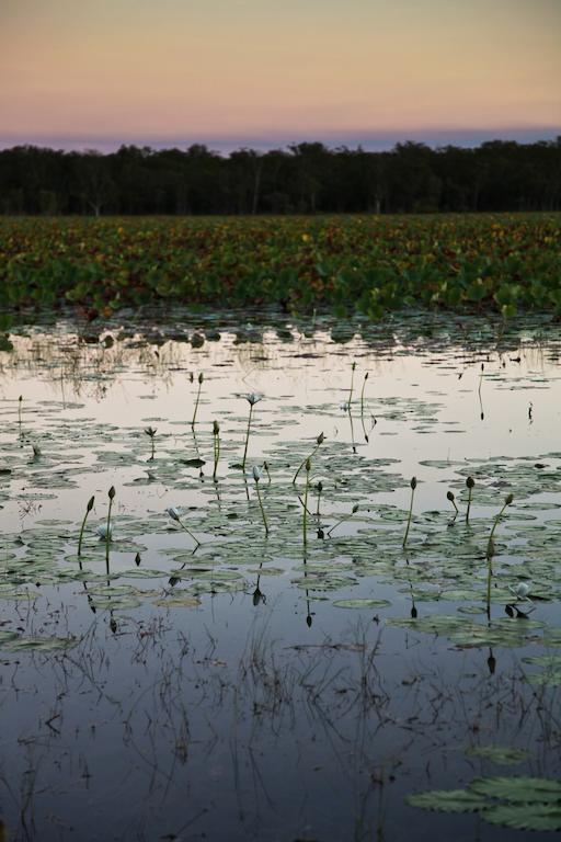 Отель Aurora Kakadu Экстерьер фото